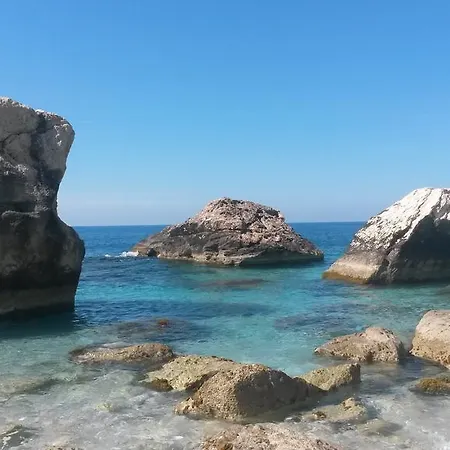 Camelion Oda ve Kahvaltı