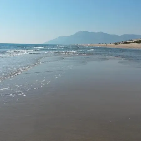 Camelion * Yesilkoy (Mediterranean)