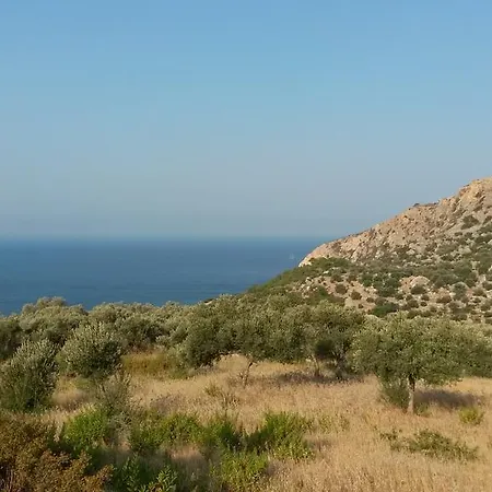 Camelion Oda ve Kahvaltı Yesilkoy (Mediterranean)