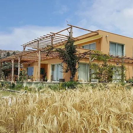 Oda ve Kahvaltı Camelion Yesilkoy (Mediterranean)